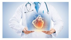 لیست پزشکان متخصص قلب و عروق در شیراز