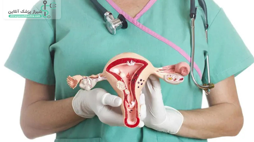 لیست پزشکان متخصص درمان خشکی واژن در شیراز